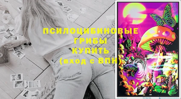 сатива Абаза