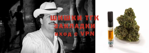 сатива Абаза