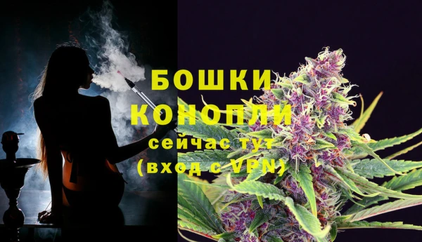 сатива Абаза