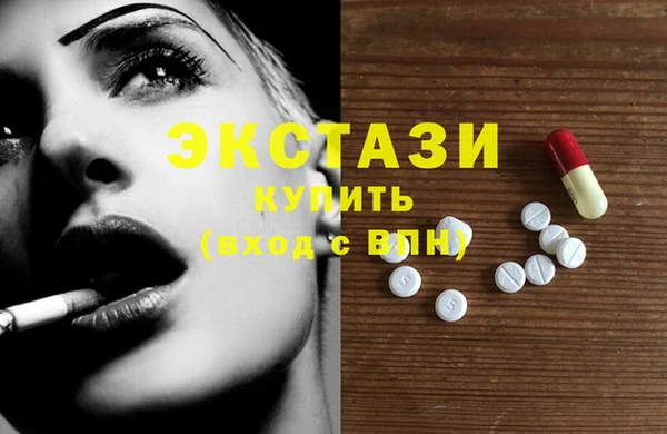 шишки Губаха