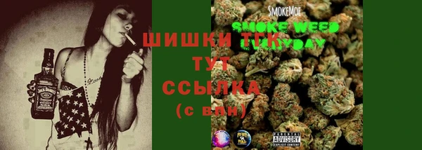 сатива Абаза