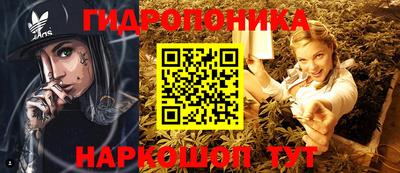 ГАЛЛЮЦИНОГЕННЫЕ ГРИБЫ Кимры