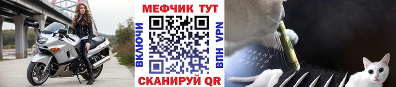 сколько стоит  Калининград  МЯУ-МЯУ мяу мяу 