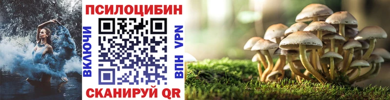 omg tor  Калининград  Галлюциногенные грибы Psilocybine cubensis 