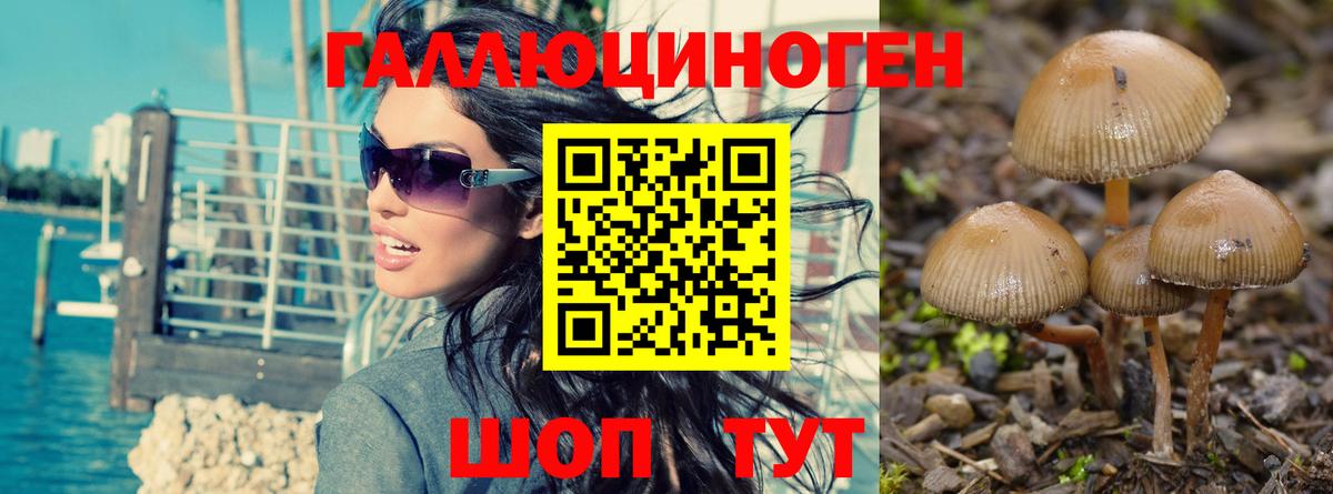 Псилоцибиновые грибы Magic Shrooms  Вход с VPN  Псилоцибиновые грибы ЛСД  Калининград 